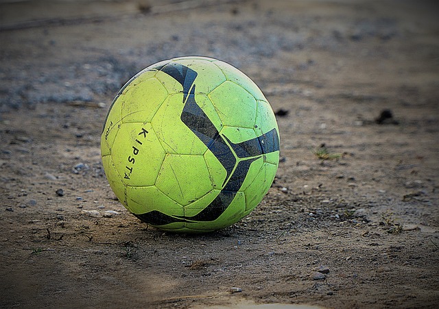 在裁判培训 在裁判培训