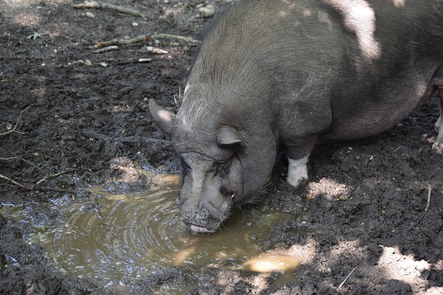 勇士的隐患 勇士的隐患