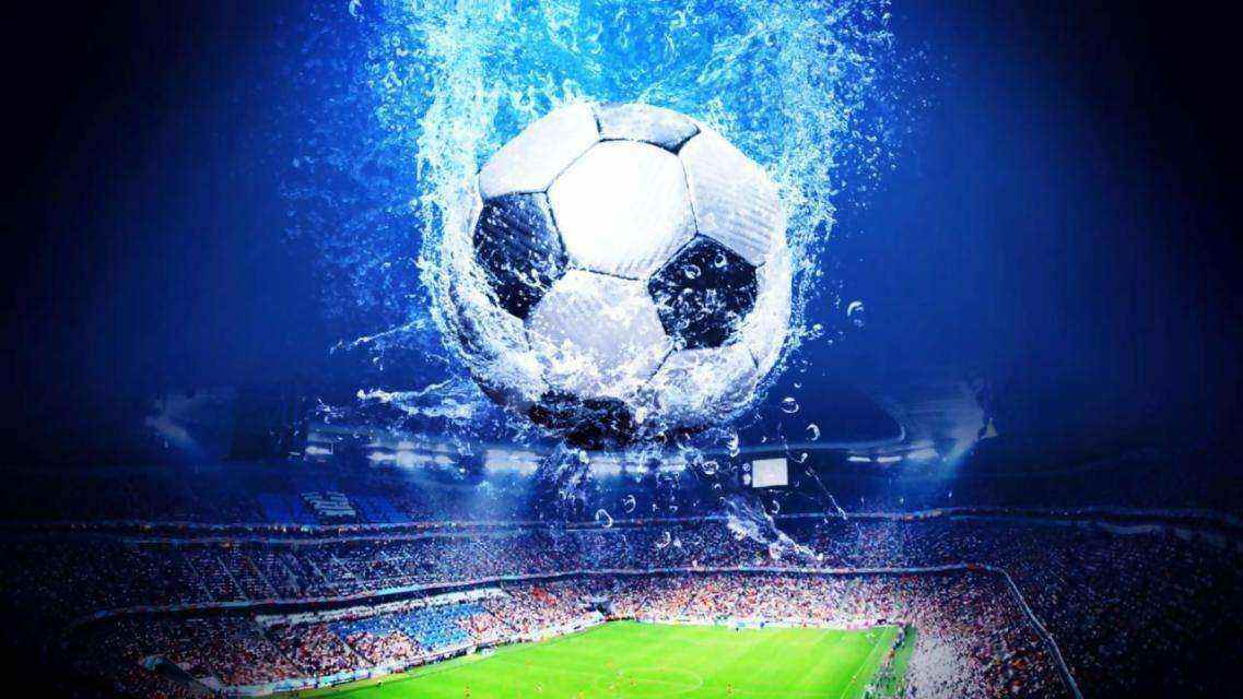 人类共同的 人类共同的