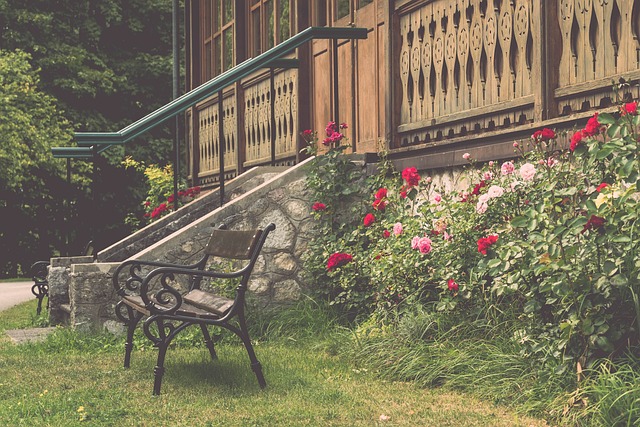 作为中国网 作为中国网