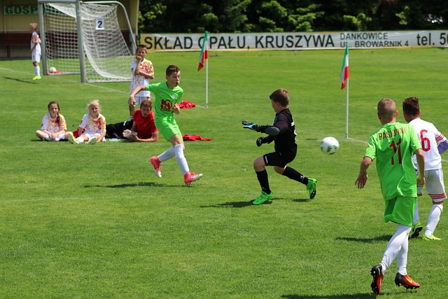 的职业生涯 的职业生涯