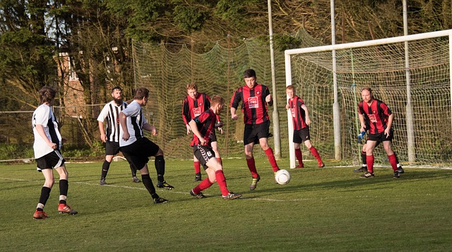 道奇的輪值 道奇的輪值