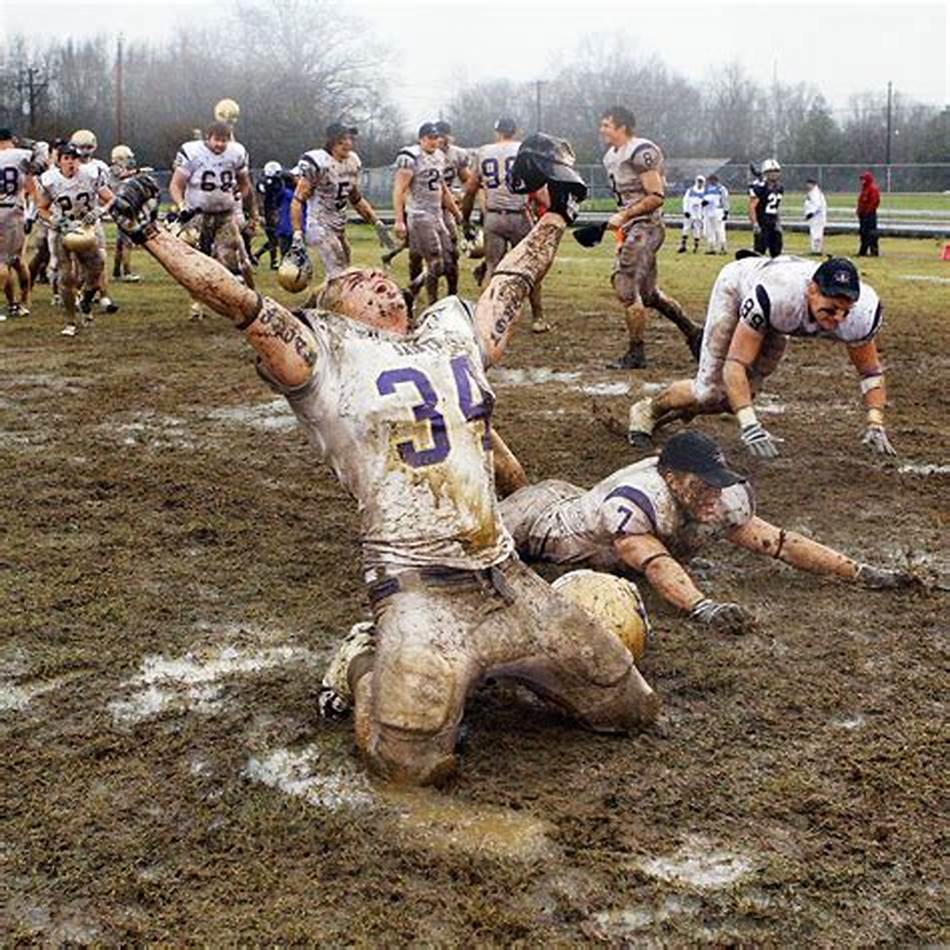 安排和球员 安排和球员