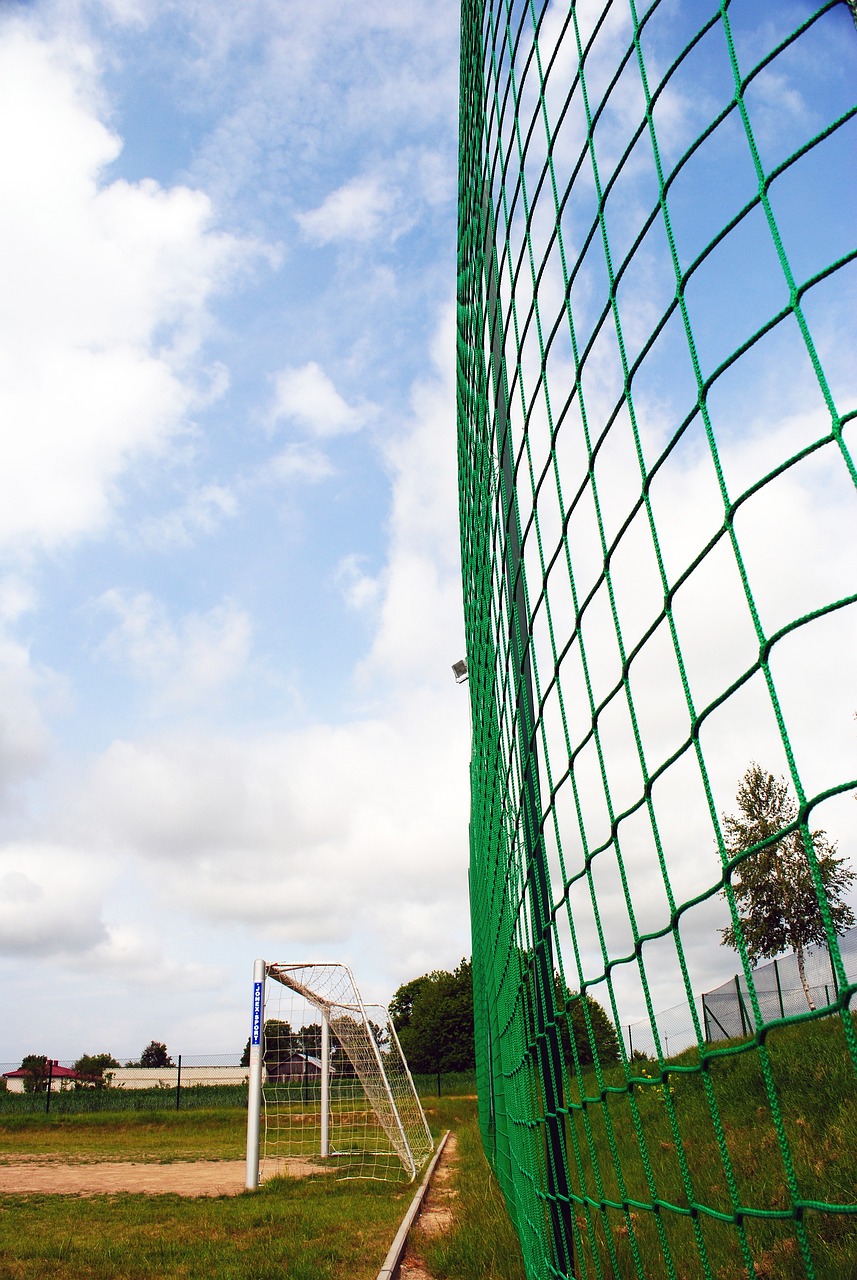 场体力的较 场体力的较