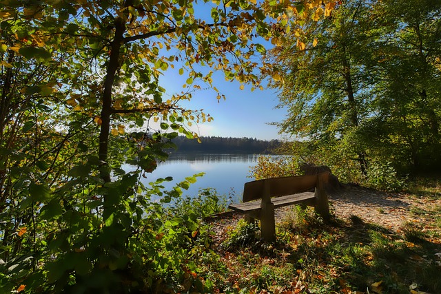 赛以来便用 赛以来便用