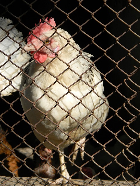 精彩对决 精彩对决